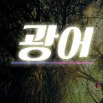 2b05d8f2c9a840f61b2c73d0d355707d_1483949